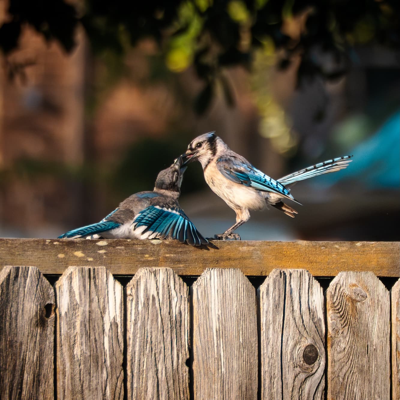 Volunteers collaborating in a workshop